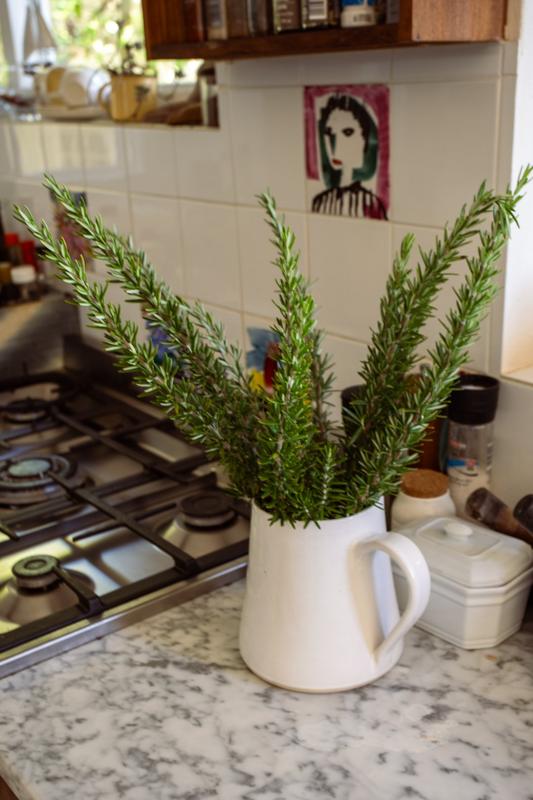 To Let 5 Bedroom Property for Rent in Hobie Beach Western Cape